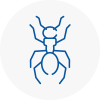Ant Removals In Huntingdon
