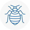 Bed Bug Extermination In Huntingdon