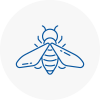 Bee Nest Removal Huntingdon