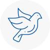Bird Prevention Huntingdon