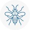 Huntingdon Hornet Nest Removals