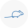 Mice Exterminators In Huntingdon