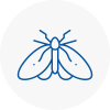 Moth Control Specialists In Huntingdon