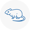 Rat Control Huntingdon