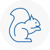 Huntingdon Rodent Removals