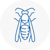 Huntingdon Wasp Nest Removal